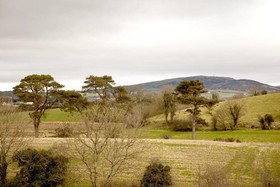 Ballyroney Cottage B&B