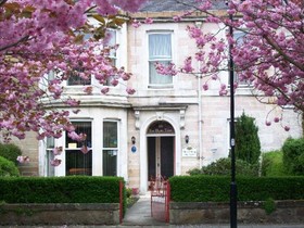 The Dunn Thing - Guest house