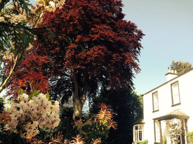 Glenshieling House & Lodge