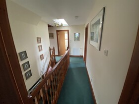 The Paddock