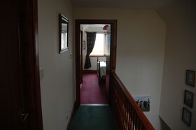 The Paddock