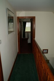 The Paddock