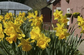 Muthu Dalmally Hotel