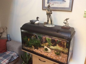 Castleview Bed & Breakfast