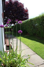 Whitecroft Bed and Breakfast