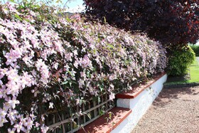 Whitecroft Bed and Breakfast