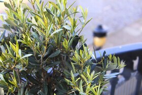 24 Royal Terrace Hotel