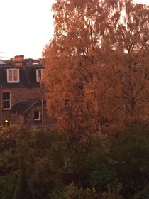 Ashdene House
