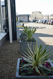 Best Western Kings Manor Hotel