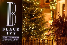 Black Ivy