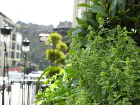 CastleView Guest House
