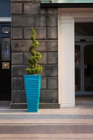 Indigo Edinburgh