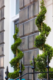 Indigo Edinburgh