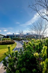 The Glasshouse