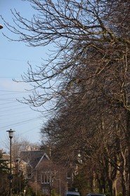 Edinburgh 37