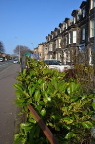 Edinburgh 37