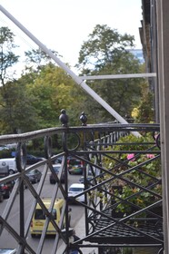 The Rutland Hotel & Luxury Apartments