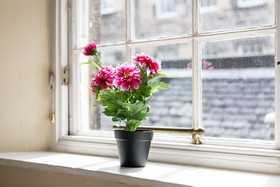 TSE Modern Apartments