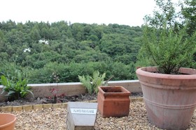 Firbank Guest House