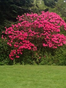 Isle of Skye Guest House