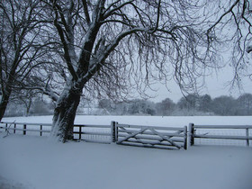 Arden Country House
