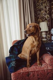 Marine North Berwick