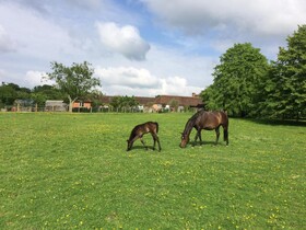 Three Chimneys Farm