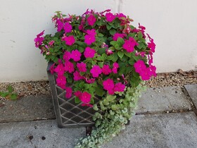 Stonehenge Courtyard