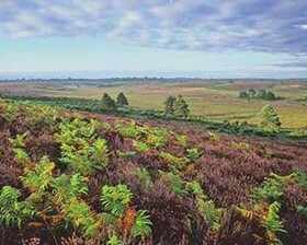 Mount Stuart