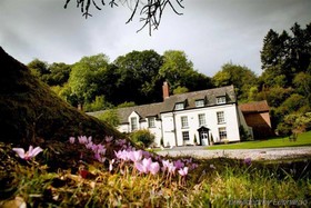 Combe House Hotel