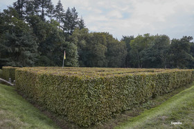 Rhinefield House Hotel