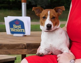 Best Western Priory Hotel