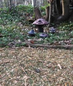 Hobbity Bell Tent House