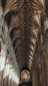 The Bat and Ball