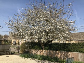 Cherry Tree Cottage