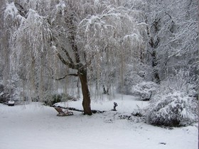 Taggart House Bed & Breakfast