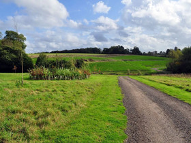 Endymion Lodge