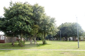 Sheena's Dartmouth Chalets