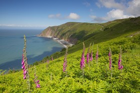 The Exmoor White Horse Inn