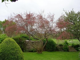 Tudor Cottage