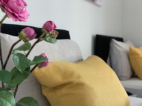 Buccleuch Apartment