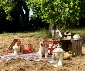 Old Hall Country Breaks