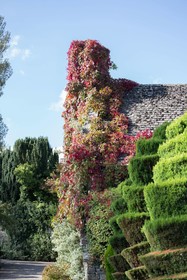 Old Swan & Minster Mill