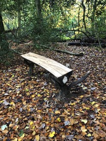 Hollington Park Glamping