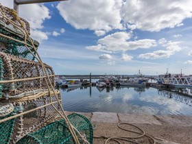 Horizon Poole