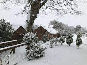 Holmdale Holiday Cottages