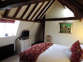 Willow Tree House