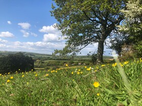 Queen Bower Farm Lodge