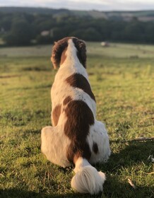 Queen Bower Farm Lodge