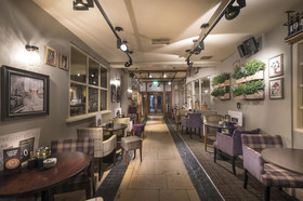 The Swan